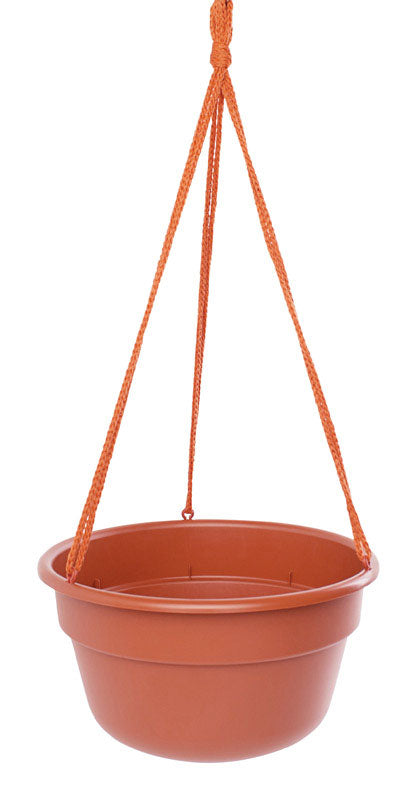 BLOEM LLC, Bloem 6.8 in. H X 12.4 in. D Resin Dura Cotta Hanging Basket Terracotta Clay