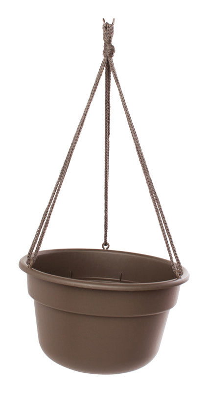 BLOEM LLC, Bloem 6.8 in. H X 12.4 in. D Resin Hanging Basket Chocolate