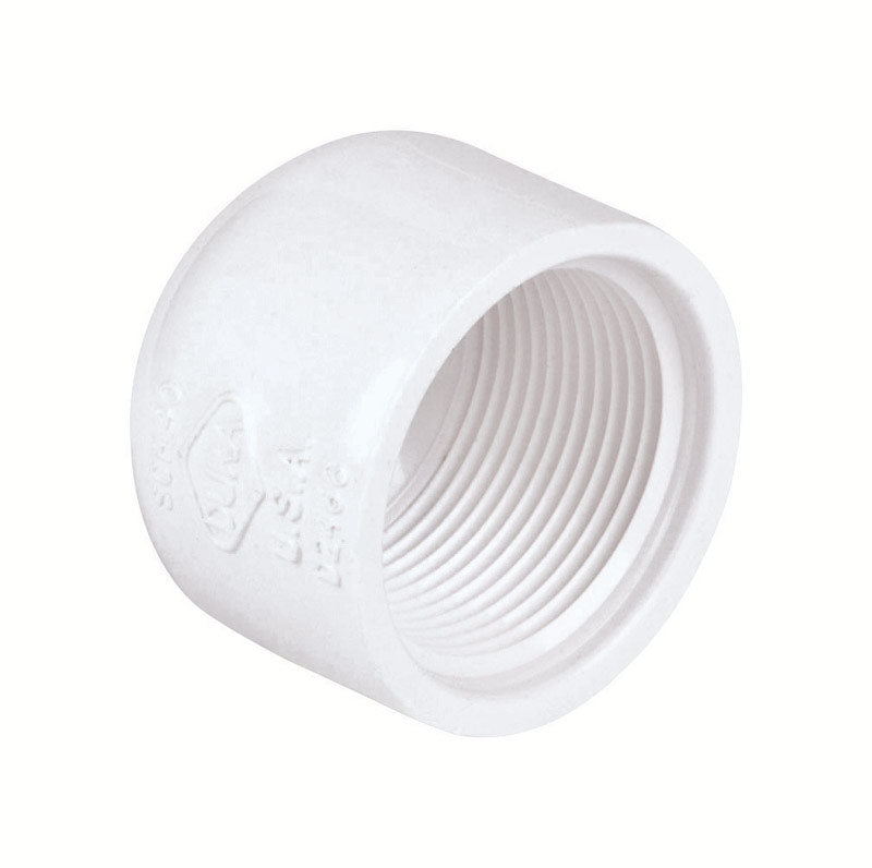 DURA PLASTIC PRODUCTS INC, Dura  Schedule 40  1/2 in. FPT   PVC  Cap