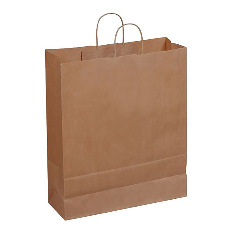 HLX PLY HOLDINGS INC, Duro Bag Paper Brown Shopping Bag with Handles Recycled 200 pk 19.25 in. H X 6 in. W X 16 in. L