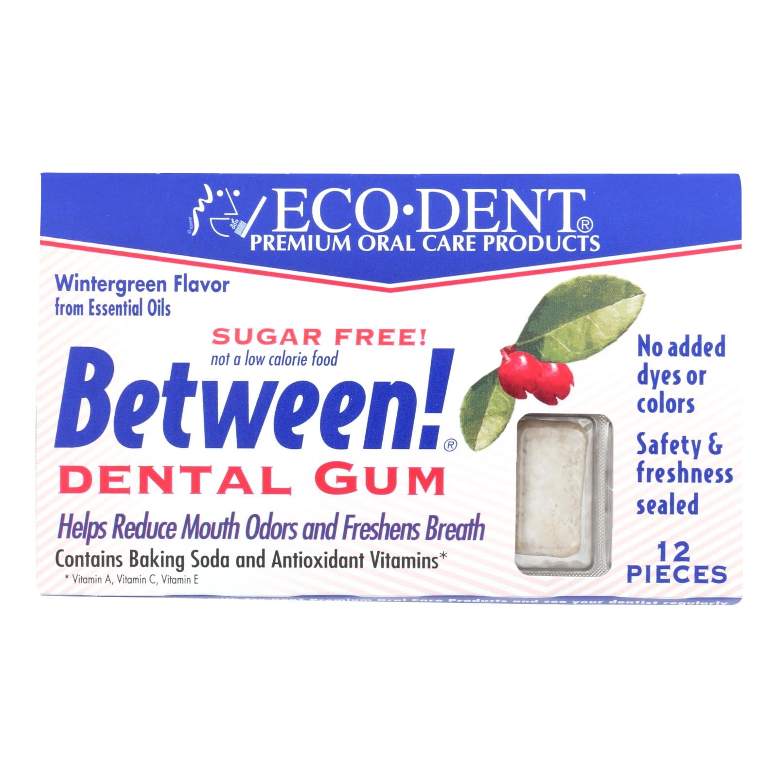 Eco-Dent, Eco-Dent Between Dental Gum - Wintergreen - Case of 12 - 12 Pack (Pack of 12)