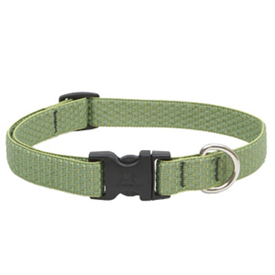 Lupine Inc, Eco Dog Collar, Adjustable, Moss, 3/4 x 13 to 22-In.