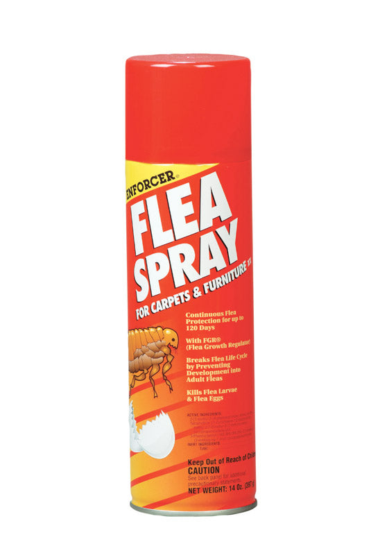 AMREP INC, Enforcer Flea Spray for Carpets & Furniture Liquid Insect Killer 14 oz. (Pack of 12)