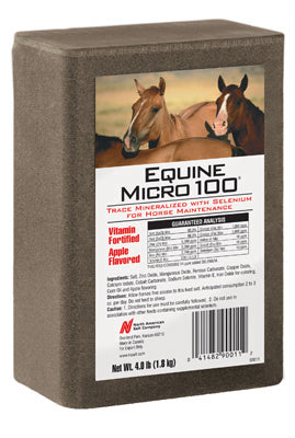 Compass Minerals, Equine Brick for Horses, 4-Lb. (Pack of 15)