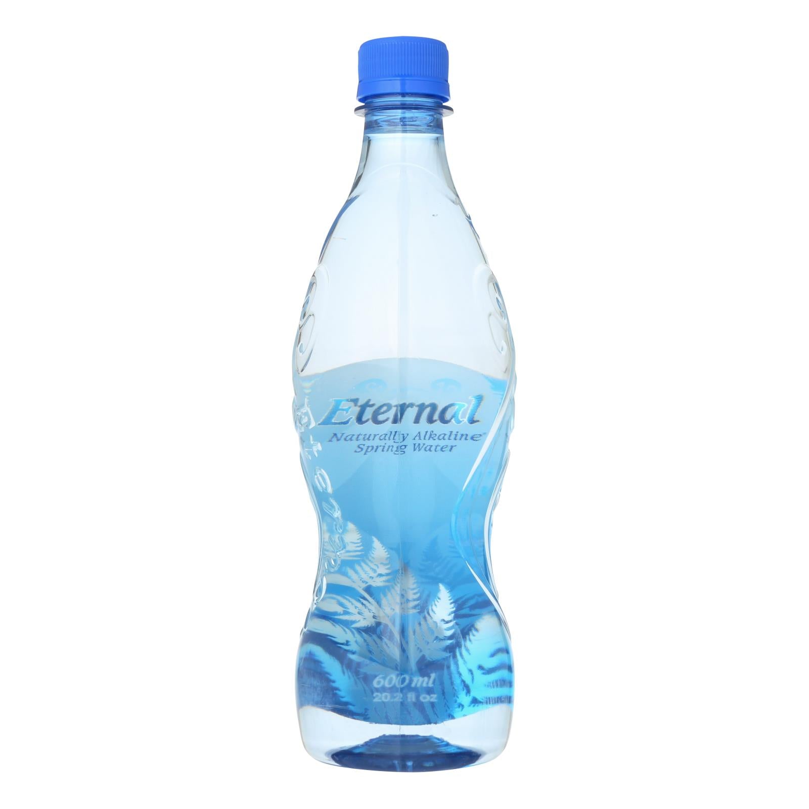 Eternal Artesian Water, Eternal Naturally Artesian Water - Case of 24 - 600 ml (Pack of 24)