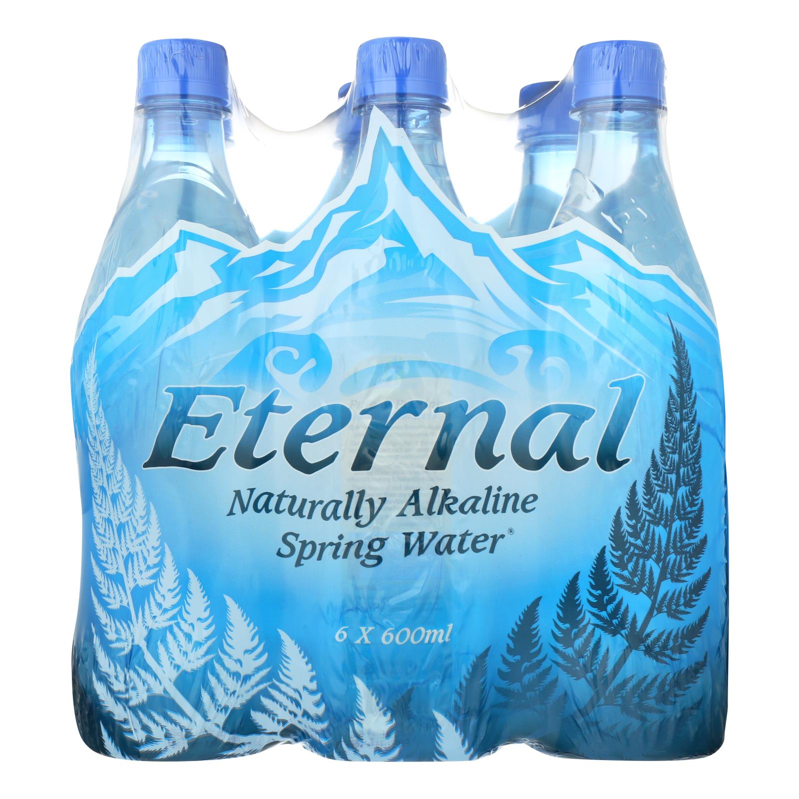 Eternal Artesian Water, Eternal Naturally Artesian Water - Case of 4 - 600 ml (Pack of 4)