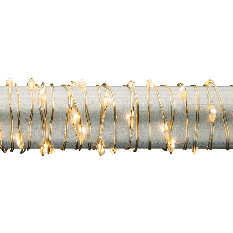 GERSON COMPANY/GIL DIVISION, Everlasting Glow Decorative Warm White Micro String Lights 5 ft. (Pack of 12)