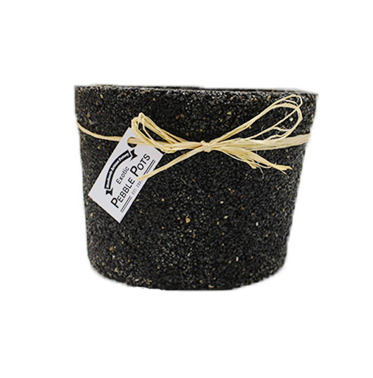 Exotic Pebbles & Aggregates, Exotic Pebbles & Aggregates Epap1 6 Black Cache Exotic Pebble Pots (Pack of 6)