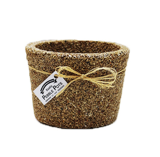 Exotic Pebbles & Aggregates, Exotic Pebbles & Aggregates Epap4 6 Brown Cache Exotic Pebble Pots (Pack of 6)