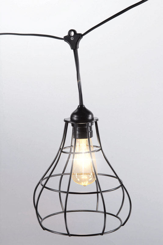 ACE TRADING - SIENNA, Living Accents  Summer  Edison  Black Wire Cage Pendant  Light Set  Clear  8 ft. 2 lights